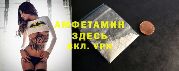 гашик Кулебаки