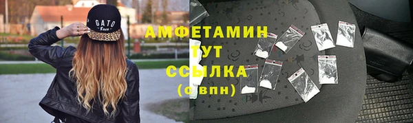 гашик Кулебаки