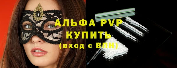 гашик Кулебаки