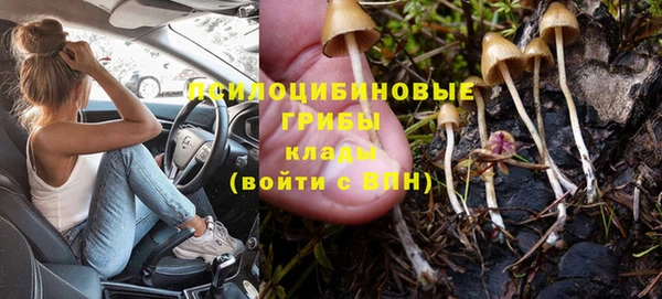 гашик Кулебаки