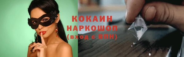 гашик Кулебаки