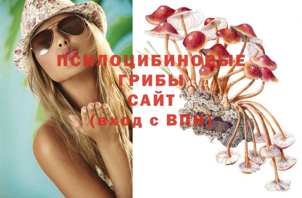 трава Куйбышев