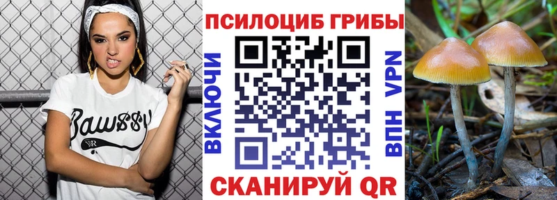 где продают   Майкоп  Псилоцибиновые грибы мухоморы 