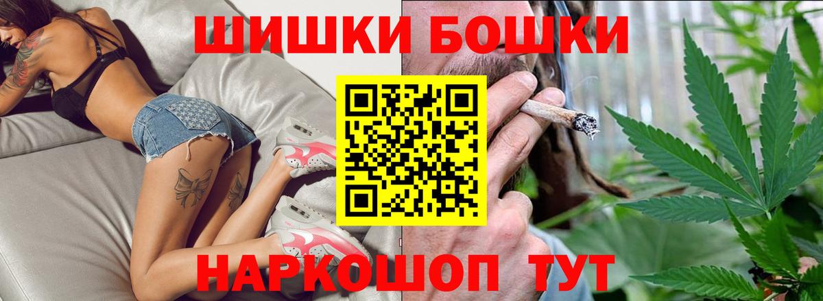 A PVP Майкоп
